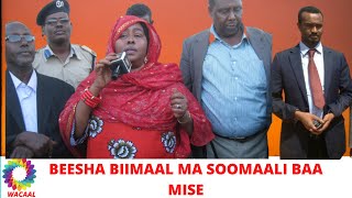 BIIMAAL MA SOOMAALI BAA DHULSE MA KU LEEYIHIIN DALKA [upl. by Catriona]