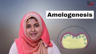 Amelogenesis made easy [upl. by Ettenig]