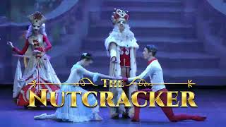 The Nutcracker the most Christmas fairy tale ballet for adults and children in Cyprus [upl. by Aihceyt]