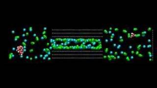 adsorption on a carbon nanopore 2 [upl. by Innavoeg]