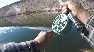 An Unexpected Catch at Pleasant Valley Reservoir Eastern Sierra [upl. by Recnal171]