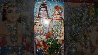 49dayJay homahadev love shortvideo subscribe [upl. by Philbrook]