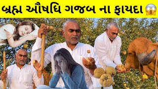 એક મહા ઔષધિ જેના અનેક ફાયદાઓ [upl. by Arratahs984]