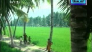 Uchani Kombu Song  Pavunu Pavunuthan  K Bhagyaraj Rohini [upl. by Hcire243]