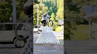 BIKE vs TOILET PAPER WALL mtb cats bunnyhop [upl. by Lalat385]