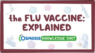 The flu vaccine explained [upl. by Leschen]