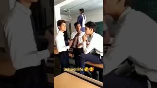 School life Love 😘💕 story youtube schollovestory lovestory schoollifelovestory [upl. by Nosneh]