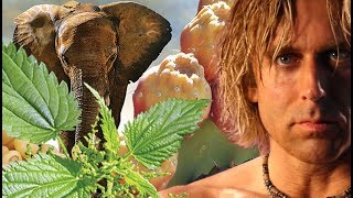 PLANT PROTEIN Super Raw Vegan Horsepower from Plants by Wild Force [upl. by Aseretairam]