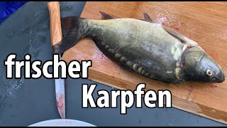 AquaponikKarpfen Frisch gefangen auf den Teller Catch amp Clean [upl. by Eojyllib]