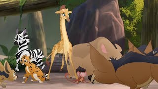 Lion Guard The Jackals Strike Again  Babysitter Bunga HD Clip [upl. by Amby]