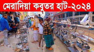 মেরাদিয়া কবুতর হাট২০২৪  kobutor hat 2024  pigeon market in bangladesh  meradiya kobutor hat [upl. by Fielding]