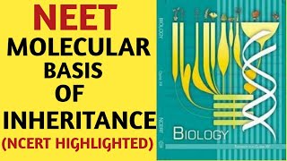 Molecular Basis of InheritanceClass 12NCERTChapter 06GeneticsQuick Revision SeriesAIIMS NEET [upl. by Atteras]