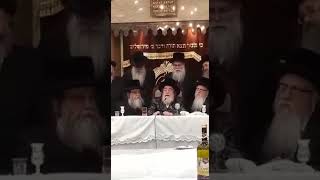 Viznitz Rebbe [upl. by Nirtiak]