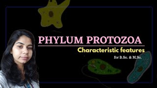 Phylum Protozoa  Characteristic features  Part1 [upl. by Einnos807]