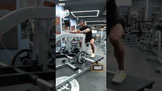 Belt Squat workout  WG PL23  Plate Loaded  Imported Gym Equipment [upl. by Sadinoel]