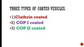 Clathrin coated Vesicles and Protein Transport [upl. by Ryan933]