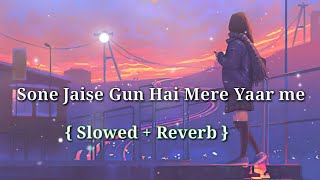 sone chandi kya karenge pyar mein slowed  reverb  Udit narayan  alka yagnik  90s Song [upl. by Ottinger960]