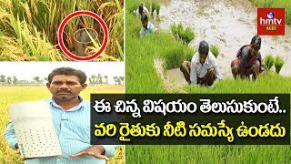 Irrigation Water Management in Paddy Cultivation  hmtv Agri [upl. by Jelene902]