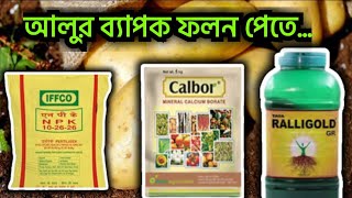 আলুর ব্যাপক ফলন পেতে রাসায়নিক সার Micronutrients humic acid amino acid Potato cultivation [upl. by Boleslaw840]