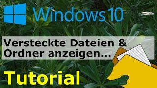 Versteckte Ordner und Dateien anzeigen in Windows 10 [upl. by Enaasiali]