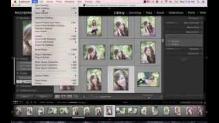 Lightroom Tutorial  Changing Catalogs [upl. by Pelaga]