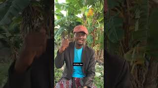 Northerners apologize to Nnamdi Kanu northernnigeria nnamdikanu biafranews nigeria biafra [upl. by Suiravaj609]