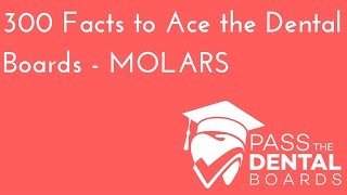 300 Dental Anatomy Facts PART 5  MOLARS  NBDE Part 1 [upl. by Letsirc393]