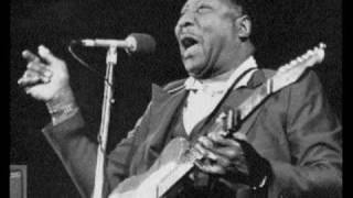 Muddy Waters amp Johnny Winter  Mannish Boy [upl. by Aivartal]