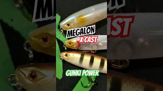 GUNKI POWER fishing bassfishing gunki happy fish catchandrelease sea topwater [upl. by Pratt610]