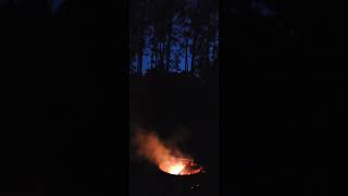 camping northcarolina hiking whippoorwill whippoorwill nocturnal [upl. by Lundt]