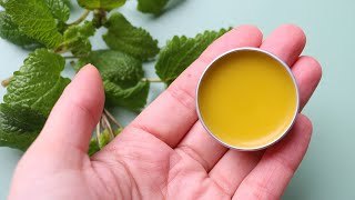 Easy Lemon Balm Lip Balm Recipe lip salve for cold sores [upl. by Murage]