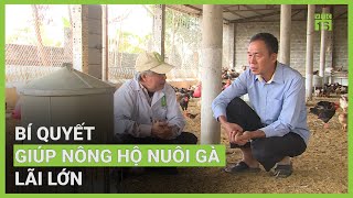 Bí quyết quotđộc nhất vô nhịquot giúp nông hộ nuôi gà lãi lớn  VTC16 [upl. by Ynnelg]