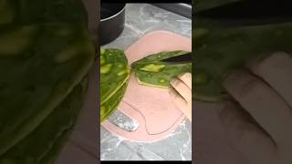 Comida Económica chuletas en salsa tatemada con nopales parati fypシ゚ viral food [upl. by Madeleine172]