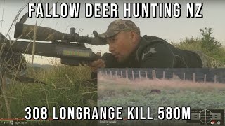 Fallow deer kill 580m 308 longrange shot  16 Feb 2018 [upl. by Pasahow974]