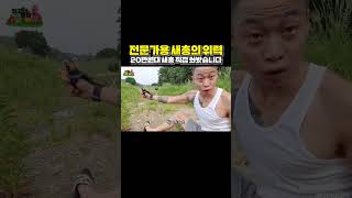 20만원대 전문가용 새총의 파괴력ㄷㄷ 단계별로 직접 해봤습니다 [upl. by Schoenberg59]