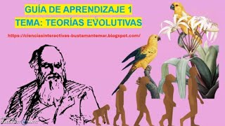 GUÍA TEORÍAS EVOLUTIVAS [upl. by Relda]