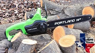 Powerful Electric Chainsaw Review  Is it Worth the Hype [upl. by Nylirehs]