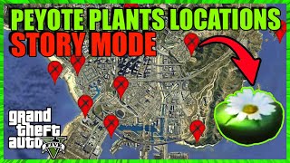 ALL 27 PEYOTE PLANTS Location Map  STORY MODE 2022  How To Find All PeyotePlants GTA 5 Story Mode [upl. by Willey669]