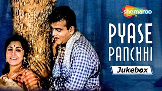 All Songs of Pyase Panchhi 1961  HD Jukebox  Ameeta  David  Jeevan  Mehmood  Sadabhar Songs [upl. by Jacquenette386]