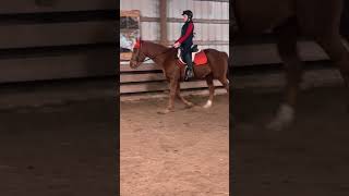 My posting trot with no stirrups is improving shorts viral fyp foryou horse blowup eq edit [upl. by Anuala420]