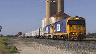 Australian Freight Trains Western Region of Victoria  Intermodal Freight amp RARE Grain Train [upl. by Juta]