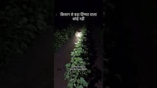 Farmers Life किसान से बड़ा हिम्मतवाला कोई नहीं farmer struggle lion lifestyle farmerslife [upl. by Anailuy]