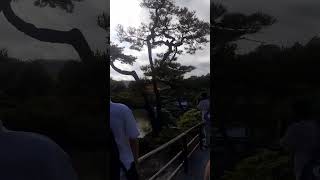 Kinkakuji Temple⛩🌸 Kyoto🇯🇵 kyoto japan travel shrine vlog indianinjapan kinkakuji [upl. by Allekim]