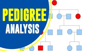 Pedigree analysis [upl. by Anaz]