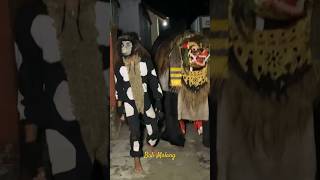 Barong Bangkung ajak monyet ngelawang [upl. by Astri]