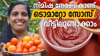 സ്വന്തം തക്കാളി കൊണ്ടൊരു സോസ് ഉണ്ടാക്കിയാലോ  Home Made Tomato Sauce Recipe in Malayalam [upl. by Wein]