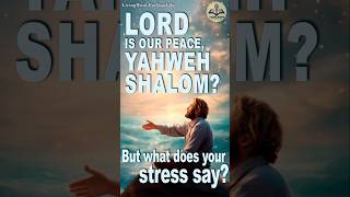 LORD IS OUR PEACE YAHWEH SHALOM But what does your stress say jesus hope bible motivation [upl. by Brocklin408]