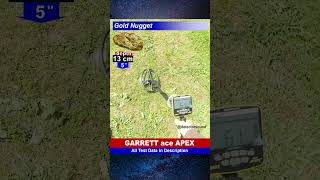 Garrett ace Apex metal detector Real Test with Small Gold Nugget metaldetector short garrettapex [upl. by Assela]