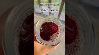 Rosemary water for HAIR Growth  shorts hairgrowth hair care [upl. by Anoj872]