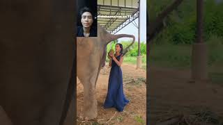 Special ang Dumi ng elephante fypシ゚viral funny comedy subscribe [upl. by Otrebliw181]